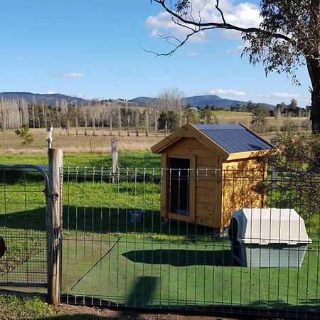 The Wattle Lodge Glendon Brook Exteriör bild